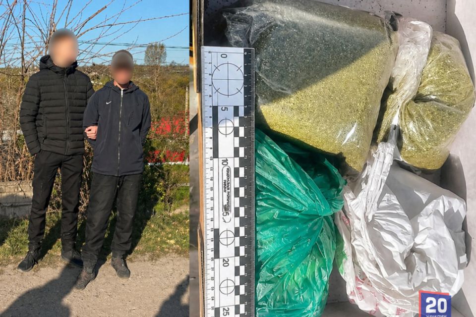 Пів кілограма наркотиків: на Жмеринщині затримали баригу