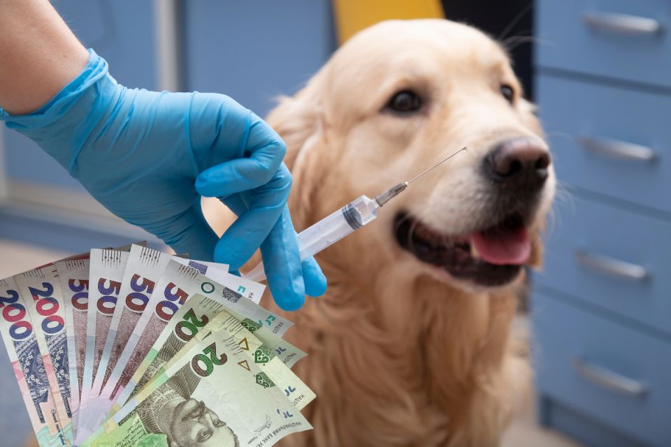 Скільки коштує комплексна вакцина для собак у Вінниці: ціни у різних ветклініках міста