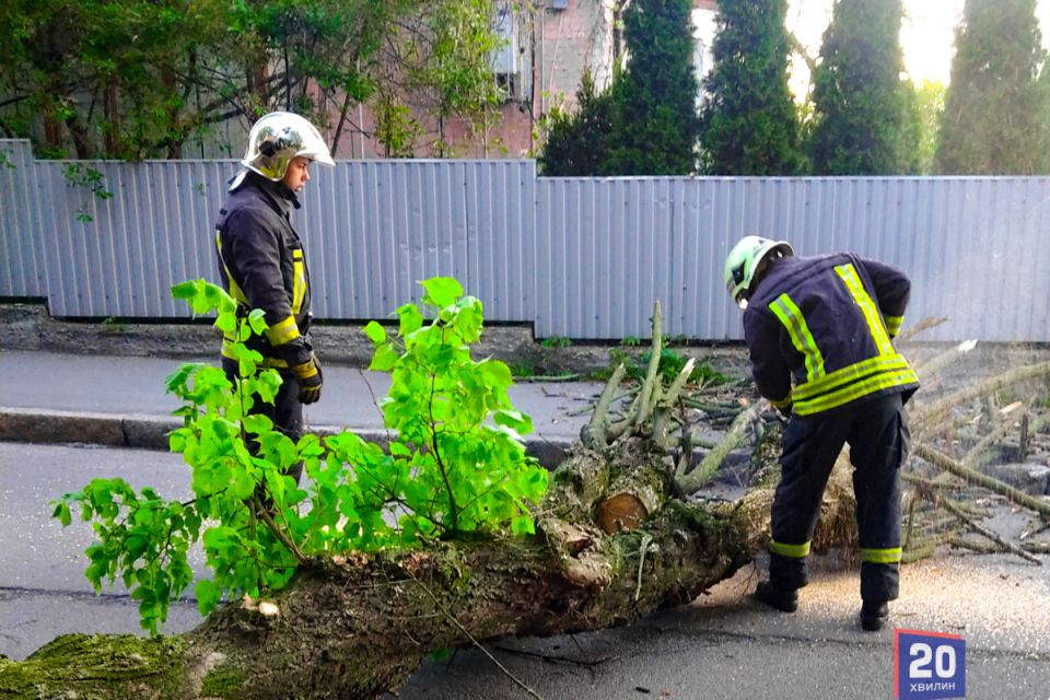 Дерево впало на дорогу та заблокувало рух транспорту на вулиці Бандери