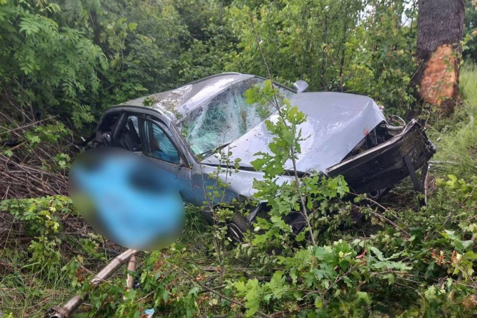 П’яний водій Audi біля Сокиринець влетів у дерево. Загинула 24-річна вінничанка