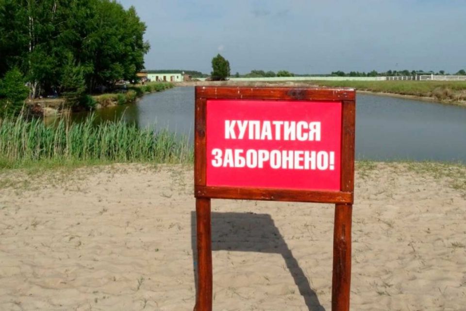 Кишкова паличка та яйця аскарид: вінницькі водойми стали небезпечними для купання