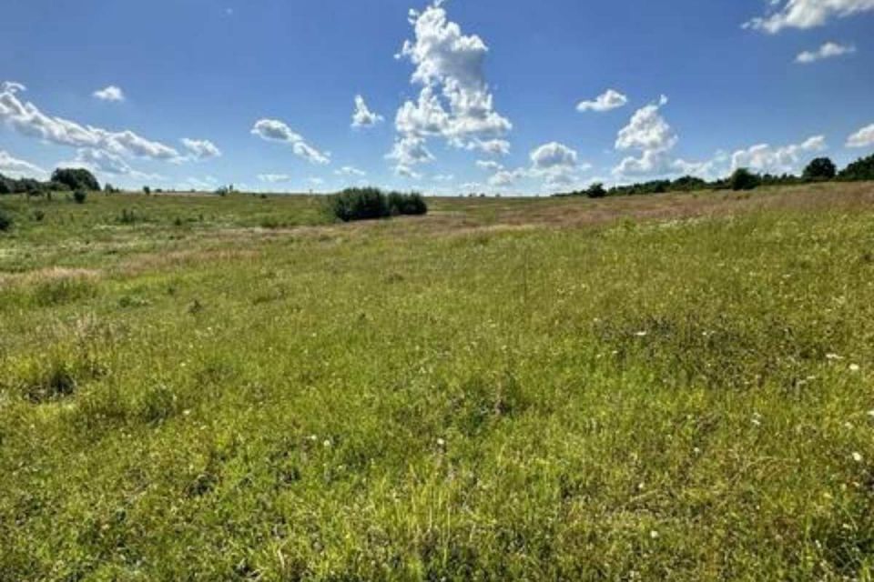 На Вінниччині державі повернули 55 гектарів землі з пам’яткою черняхівської культури