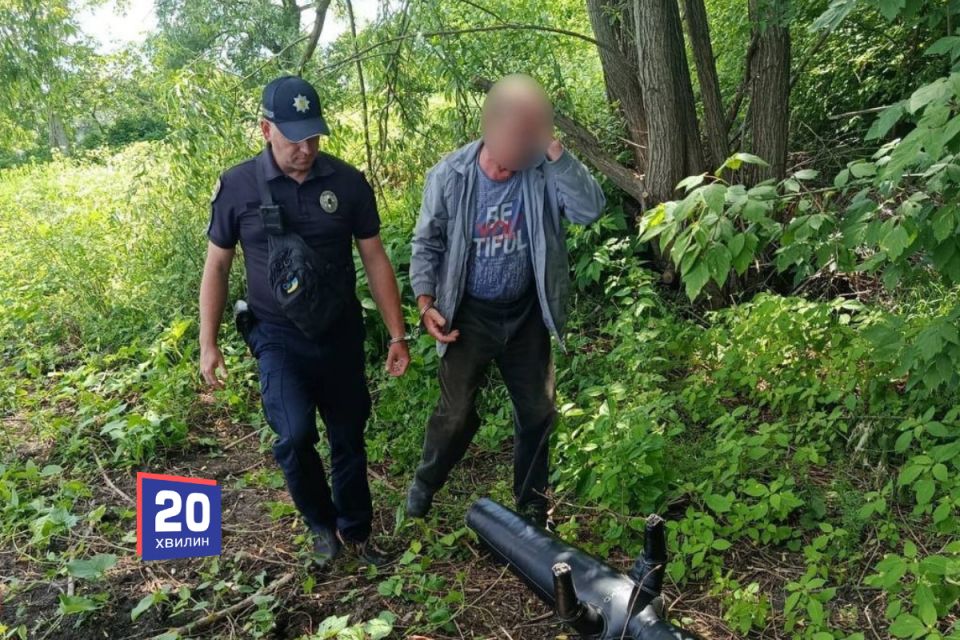 Конфлікт через дерева: 71-річний чоловік побив сусідку та втопив її, щоб приховати злочин