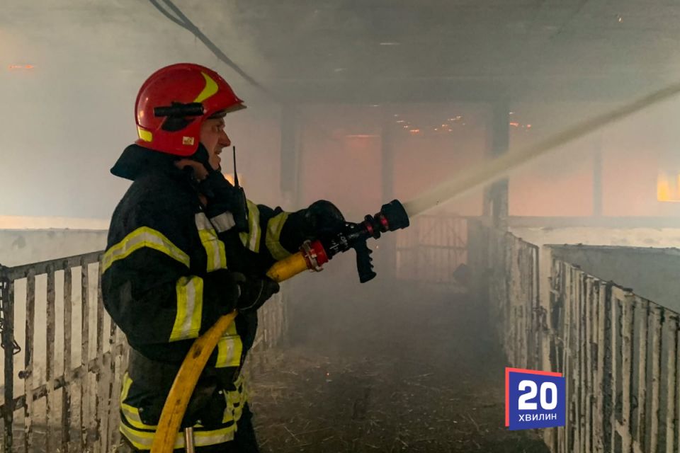 Ферма на 500 квадратних метрів горіла у Стрижавці. Тварин встигли врятувати
