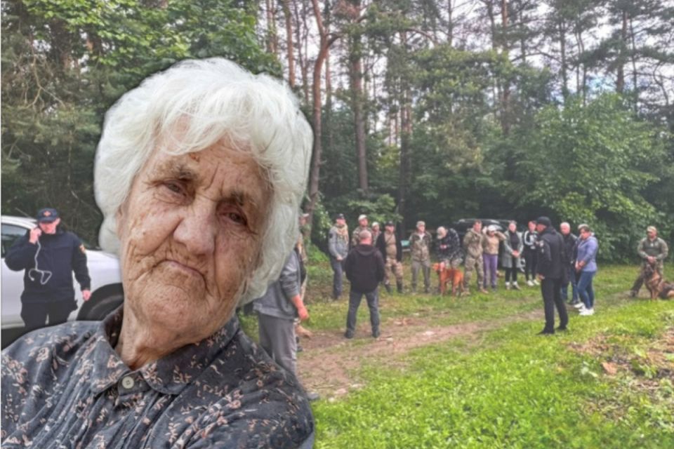 Пішла в ліс по ягоди та зникла: на Вінниччині тривають пошуки 78-річної жінки