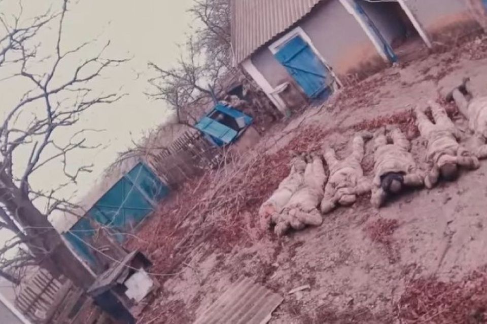 «Зайчик», гранатку кинь!»: як гвардійці з «Червоної калини» взяли в полон шістьох окупантів (відео)