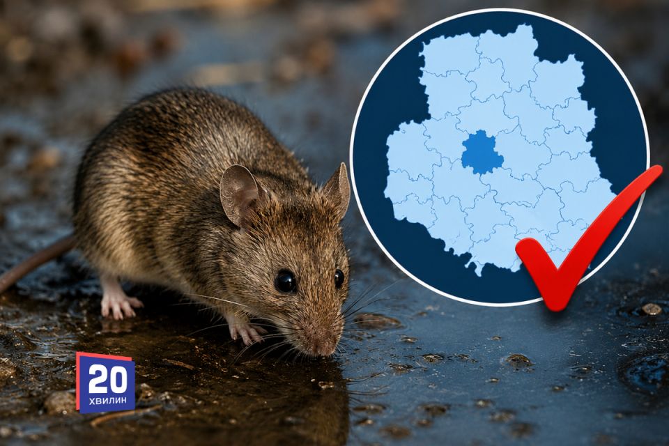 Перший випадок лептоспірозу на Вінниччині: у Івашківцях госпіталізували хворого