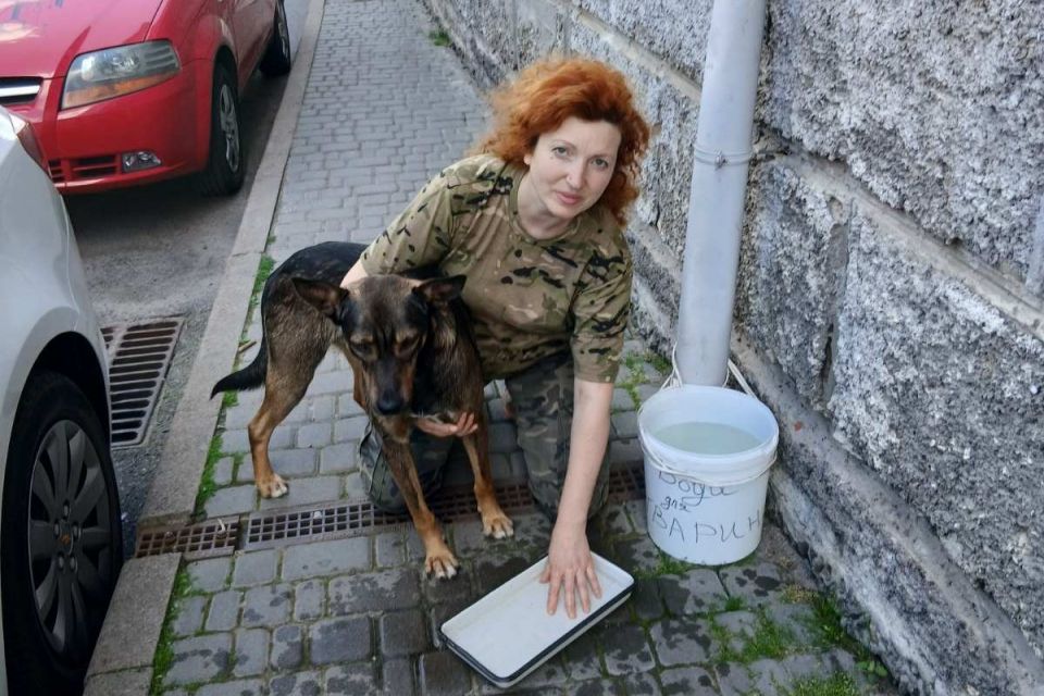 «Така спека, а вони забрали воду для тварин»: долучайтесь до флешмобу «Рятівна мисочка»