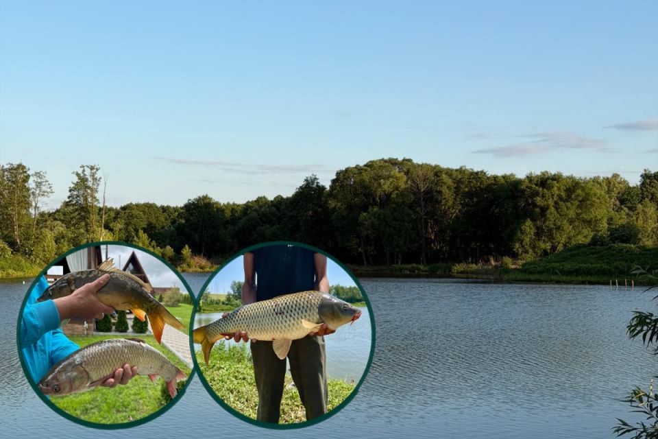 Риболовля та відпочинок на Вінниччині: огляд бази «Eco-Fishing Vugly» у Хмільницькому районі (партнерський проєкт)