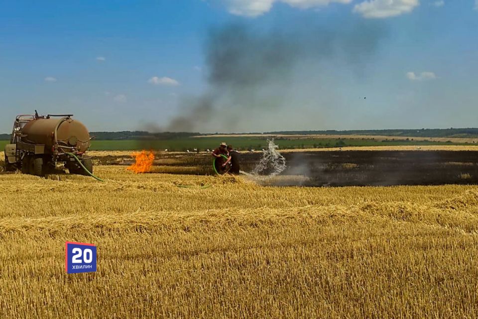 Вогонь випалив понад вісім гектарів землі