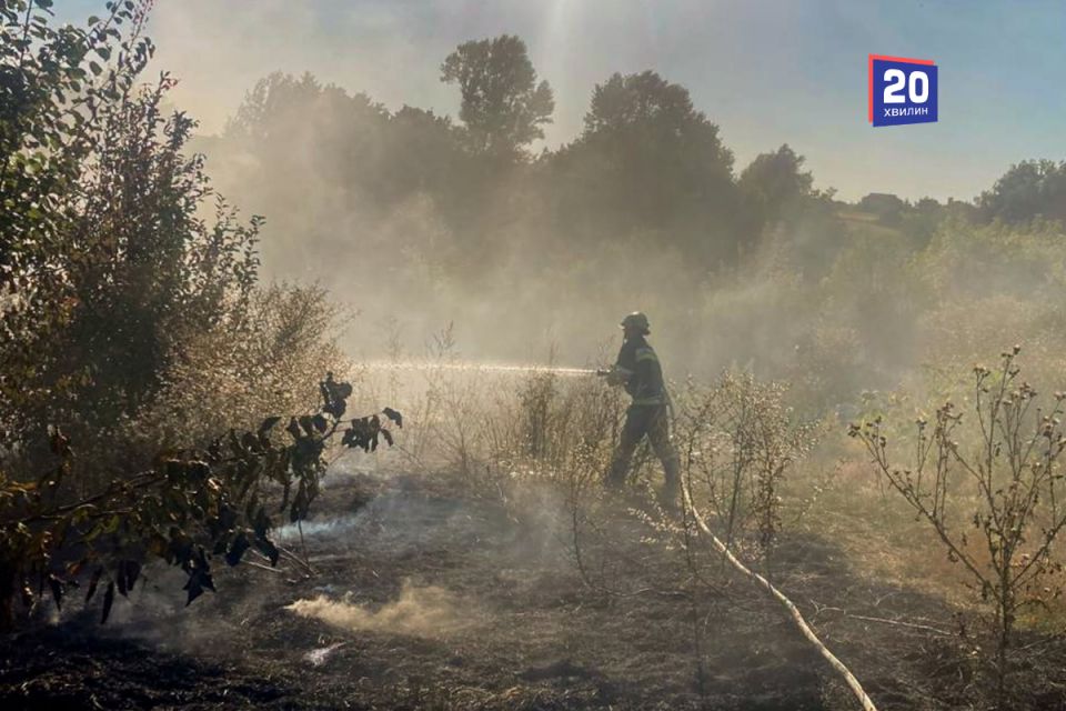 Вогонь охопив усі райони Вінниччини: за добу вигоріло майже 15 гектарів