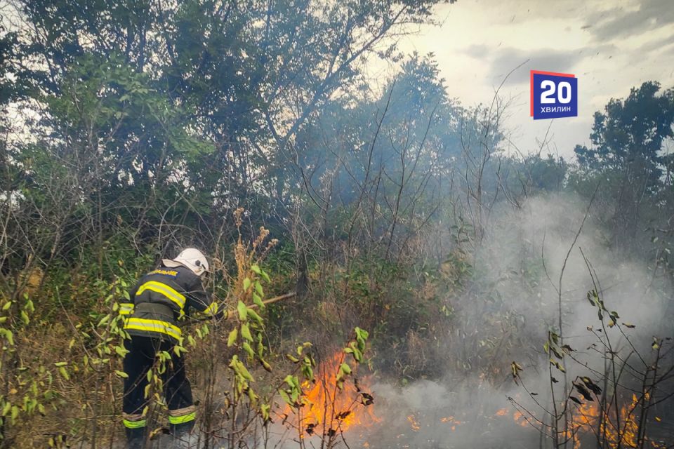 Горіли поля, узбіччя та лісосмуги. Вогонь випалив шість гектарів землі