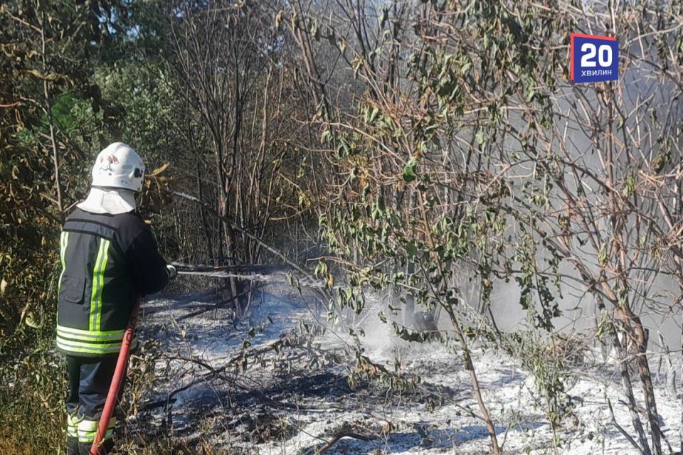 Вогонь нищить область: надзвичайники ліквідували 18 пожеж в екосистемах