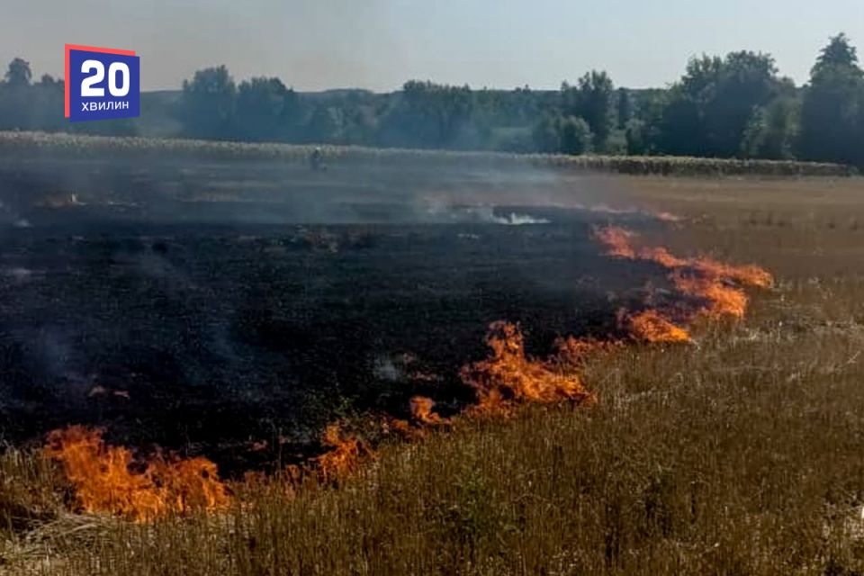 У Вінниці ловлять тих, хто палить листя та сміття. Штрафи до 1700 гривень