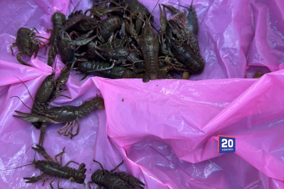600 грамів раків коштуватимуть понад 100 000 тисяч. Поблизу Олексіївки спіймали браконьєра