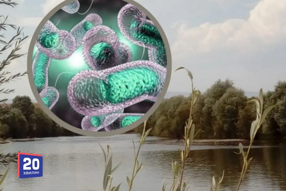 У Південному Бузі шукали холеру: що показали аналізи води у Вінниці