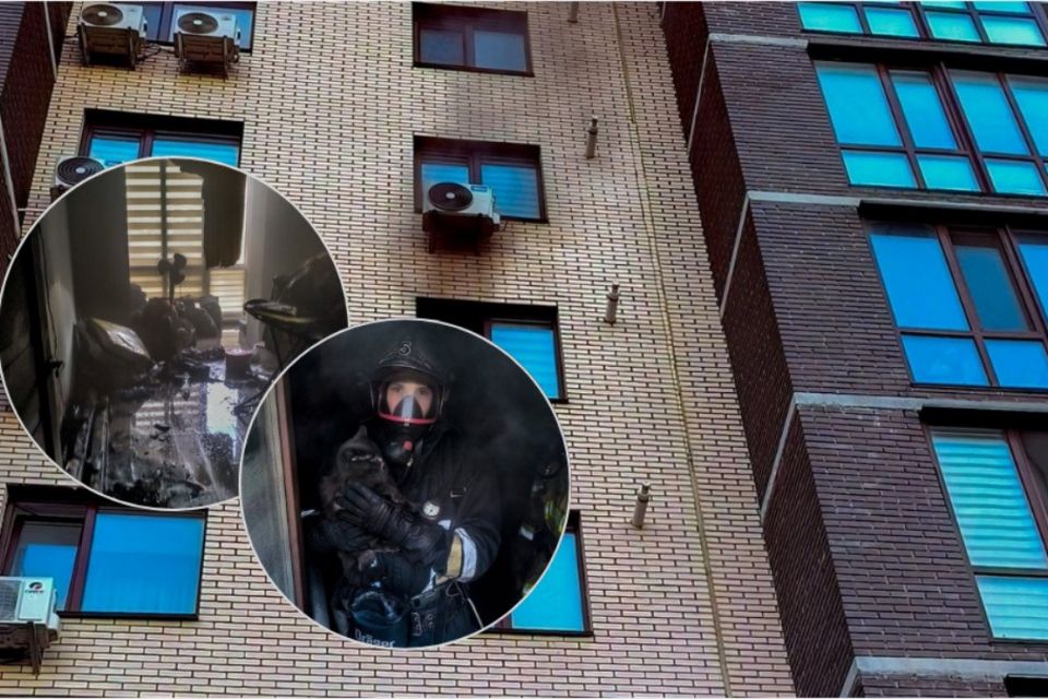 «Вилізло на підвіконня, щоб його побачили»: у Вінниці під час пожежі врятували кошеня
