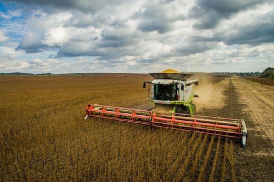 На Вінниччині зібрали понад половину зернових. Скільки вже намолотили