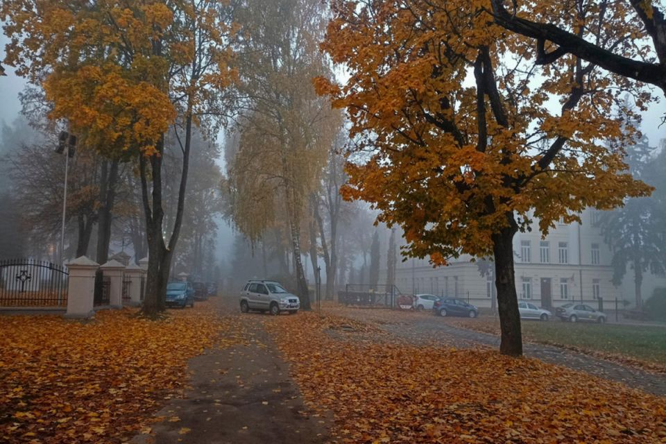 Туман, дощі та до +18 градусів: якою буде погода на Вінниччині до кінця тижня