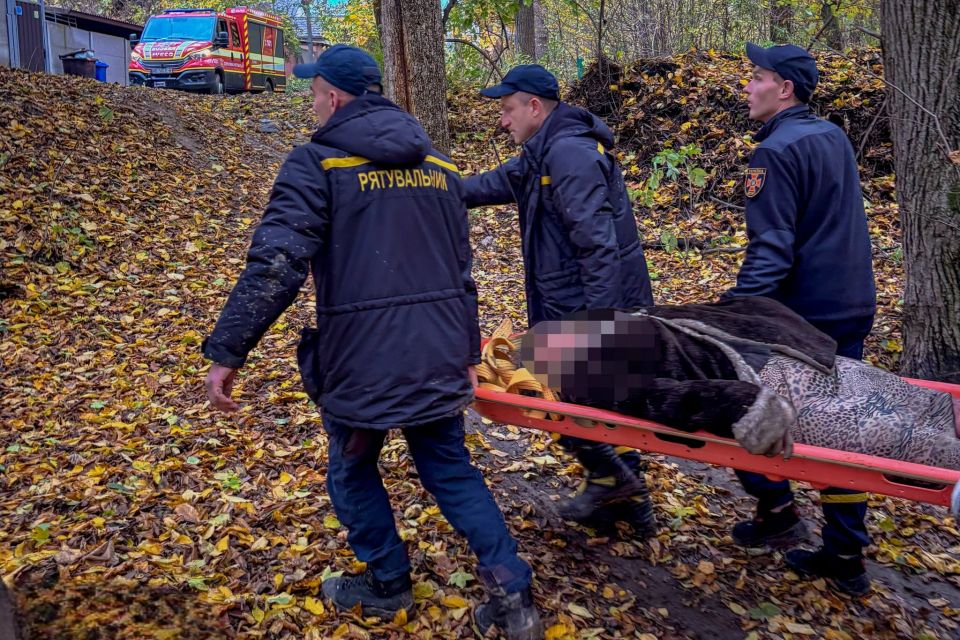 Пішла по гриби й не повернулася додому: в П’ятничанському лісі шукали 67-річну жінку