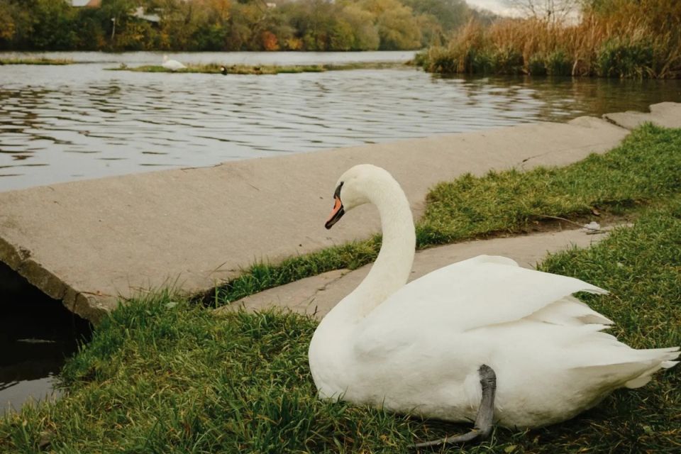 Вінниця в Instagram. Кращі фото за тиждень, що минає