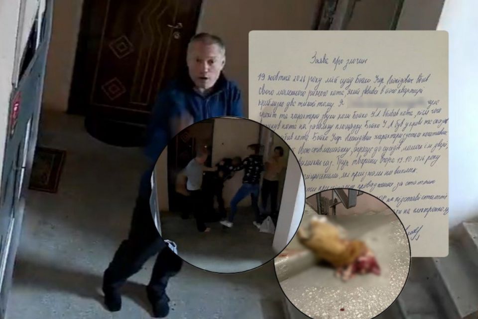 «Він кошмарить весь під’їзд»: у будинку на Мазепи сусід убив кошеня та роками тримає в страху людей