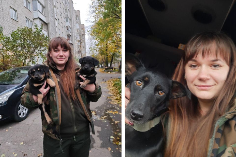 «Якщо повертаюся без чотирилапих, поїздка не вдалася»:  три роки вінничанка  рятує тварин з фронту