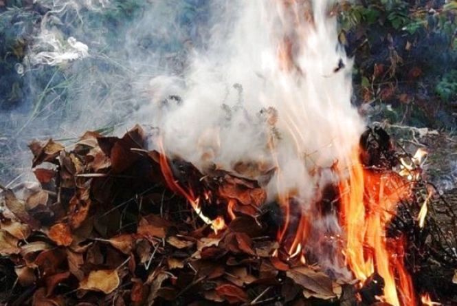 За паління листя чи сміття вінничанам загрожує до 1700 гривень штрафу :  16:09:2018 - 20 хвилин Вінниця