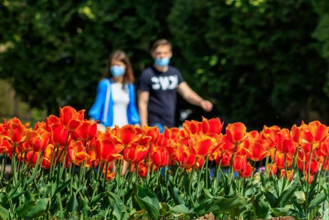 Травневі свята і Великдень: скільки вихідних буде у ...