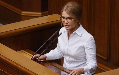 Олег Мейдич: "Тимошенко має план захисту України від неприйнятних Мінських  угод" (Пресслужба ВО Батьківщина)
