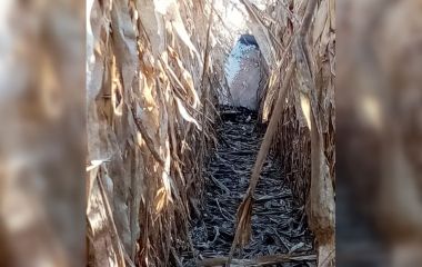 23-й день війни. На Вінниччині збили три ворожі ракети — Сергій Борзов