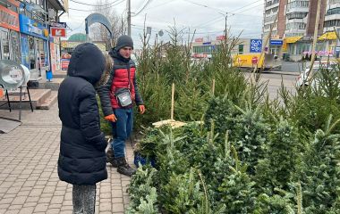 Ялинки, сосни, в'язані дерева: за скільки можна придбати новорічну красуню на Привокзальному