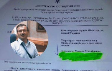 «Винен суддя, а платить держава»: подарунок під ялинку для вінничанина за виграш у Євросуді
