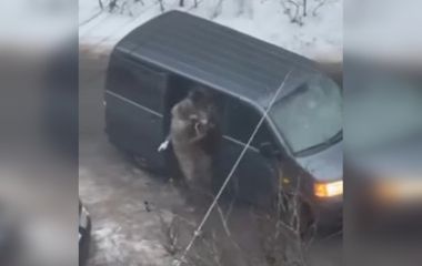 Запхали в чорний бус і повезли в невідомому напрямку — у ТЦК відреагували на інцидент