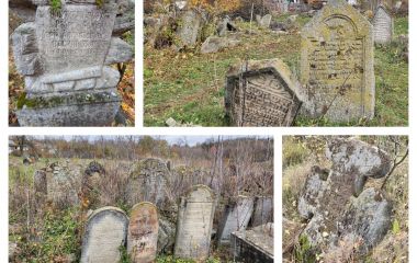 Заростає пам’ять: унікальний український цвинтар зникає в хащах