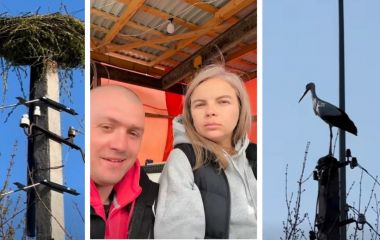 «Повертайся, друже, твоя хата готова!»: подружжя з Ямполя відновило згоріле гніздо лелек