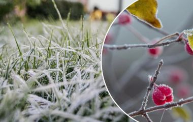 Вінниччину з понеділка накриють сильні заморозки. Синоптики розповіли коли чекати на потепління