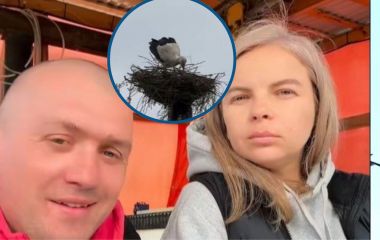 Лелека повернувся на Великдень: продовження історії, як подружжя з Ямполя відновило згоріле гніздо