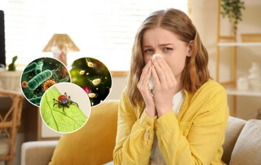 Інфекції, алергії та укуси кліщів: які небезпеки активізуються весною і як від них уберегтися