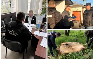 Масштабна облава в 11-ти регіонах через махінації на дровах для ЗСУ. «Нечесні закупівлі» зачепили Вінниччину