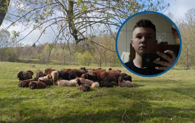 «Бась-бась, мої овечки!» Підліток, який віддав своє авто на фронт, підняв отару до 59-ти овець