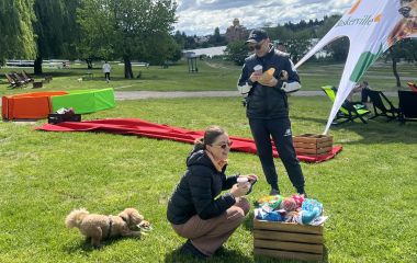 Як пройшов перший день Pets Ville Fest: яскраве свято для чотирилапих та їх власників у Вінниці