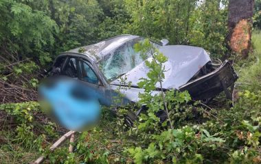 П’яний водій Audi біля Сокиринець влетів у дерево. Загинула 24-річна вінничанка