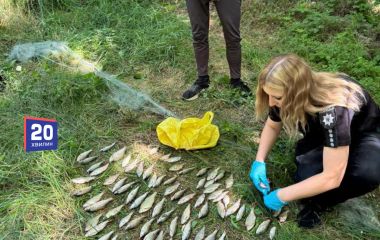 Одна сітка на 137 тисяч гривень. На Ладижинському водосховищі піймали браконьєра
