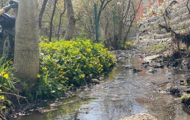 У Вінниці є 64 річки. Більшість із них замуровані під містом і невідомі вінничанам