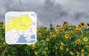 То спека, то дощі: якою буде погода на Вінниччині протягом тижня