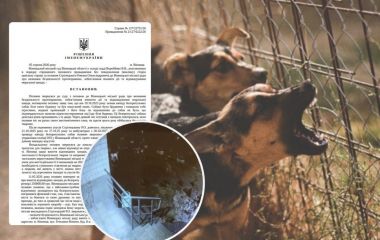 «Мене вкусила собака, а в міськраді порадили взяти її під опіку»: чому вінничанин звернувся до суду