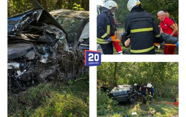 Audi вилетіла на зустрічну. У смертельній ДТП біля Петрика загинула жінка