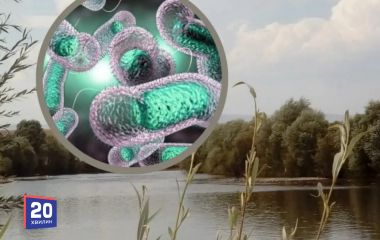 У Південному Бузі шукали холеру: що показали аналізи води у Вінниці