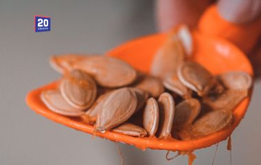 Жменя гарбузового насіння щодня: чим вона корисна і коли може нашкодити